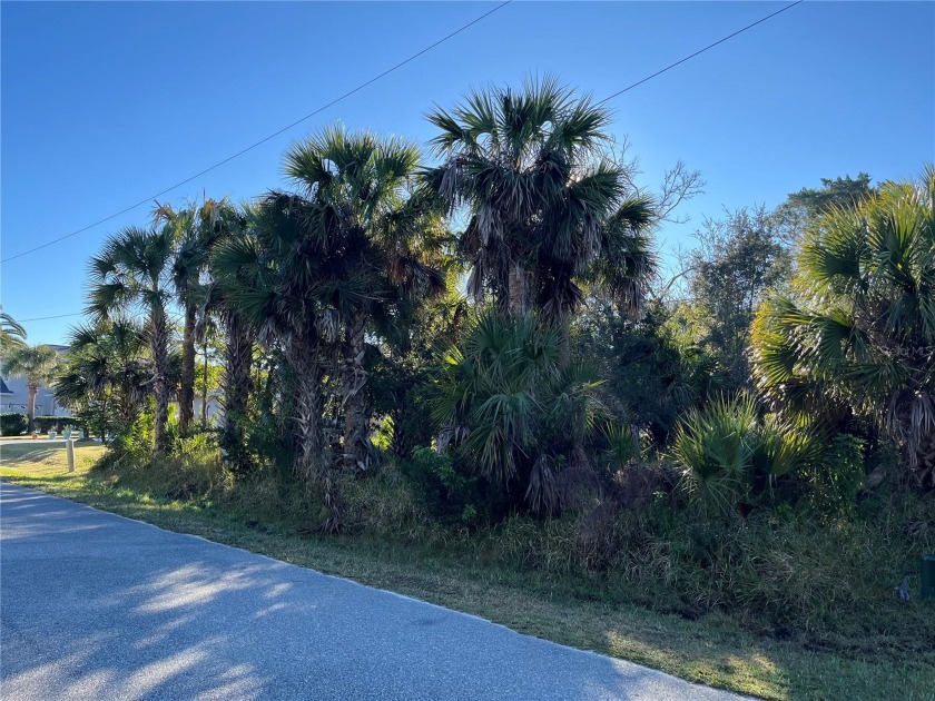 Sailboat Country Saltwater Canal Lot in the Palm Harbor section - Beach Lot for sale in Palm Coast, Florida on Beachhouse.com