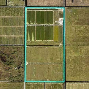 Unique opportunities in the market. One such opportunity has - Beach Acreage for sale in Vero Beach, Florida on Beachhouse.com