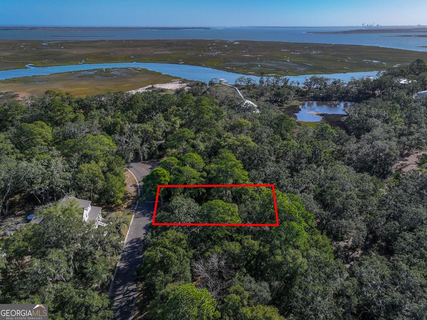 One of the finest private communities on the Georgia coastline - Beach Lot for sale in Saint Marys, Georgia on Beachhouse.com