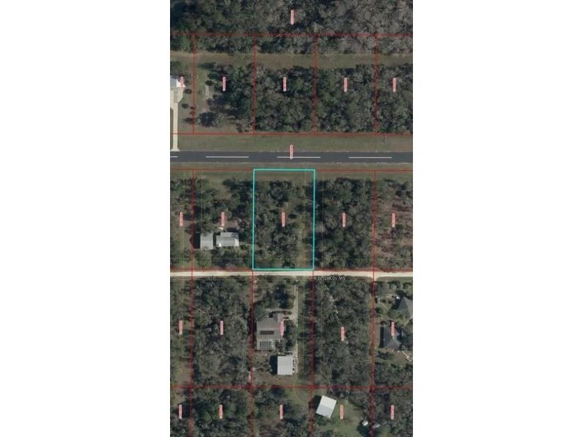 Calling all pilots and aviation enthusiasts! This premium paved - Beach Lot for sale in Cedar Key, Florida on Beachhouse.com