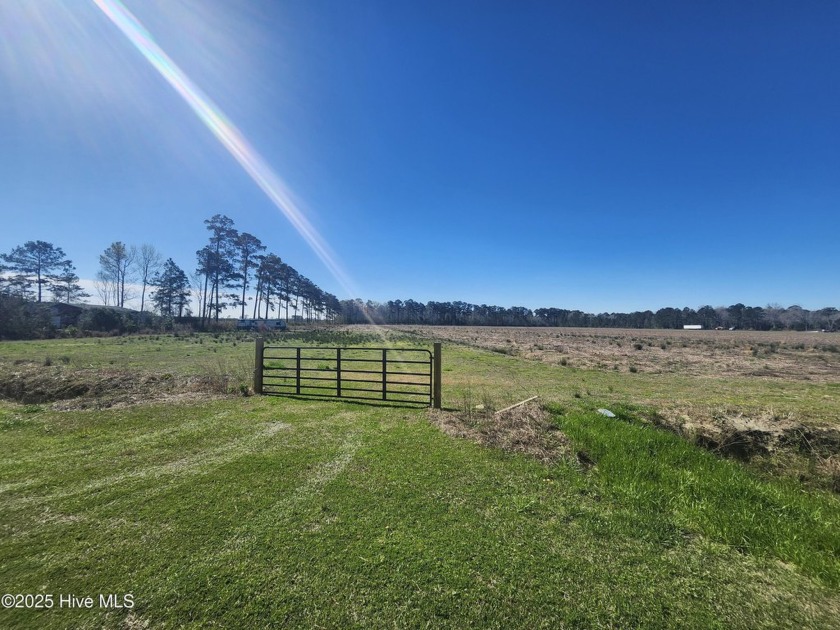 JUST LOOK AT THOSE BREATHE TAKING VIEWS!!!! Imagine sitting here - Beach Acreage for sale in Merritt, North Carolina on Beachhouse.com