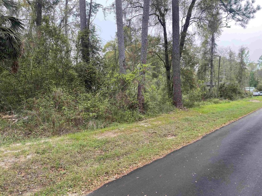 Buildable lots in beautiful Wakulla County. Located on a paved - Beach Lot for sale in Crawfordville, Florida on Beachhouse.com
