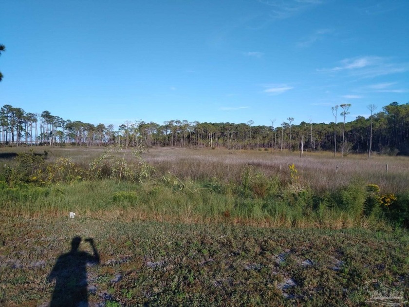 Fantastic views with Bay Access.  Private dock can be built to - Beach Lot for sale in Gulf Breeze, Florida on Beachhouse.com
