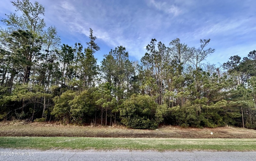 Below Tax Value 0.52 Acre. 89' wide by 250' deep. Wonderful - Beach Lot for sale in Belhaven, North Carolina on Beachhouse.com