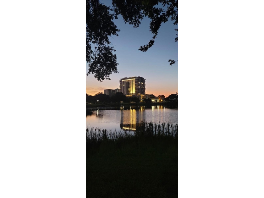 REFLECTION St. Pete is a vision of truly having it all - Beach Condo for sale in St. Petersburg, Florida on Beachhouse.com