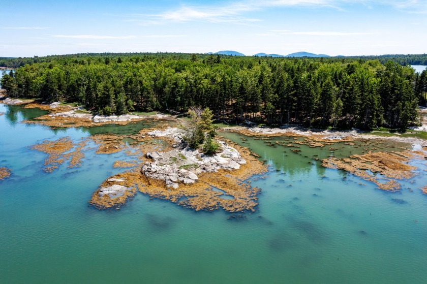 This 3+ acre OCEANFRONT lot has over 888' of shoreline on the - Beach Acreage for sale in Lamoine, Maine on Beachhouse.com