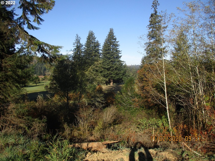 This is it!!! WATER-well is 11 gallons per minute. View is Golf - Beach Acreage for sale in Coos Bay, Oregon on Beachhouse.com