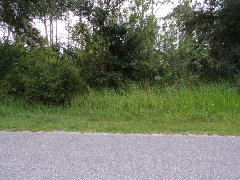 This lot is on a quiet street that would be a great place to - Beach Lot for sale in Port Charlotte, Florida on Beachhouse.com