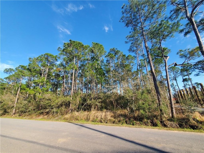 Awesome building lot on Dauphin Island, with both Bay and Gulf - Beach Lot for sale in Dauphin Island, Alabama on Beachhouse.com