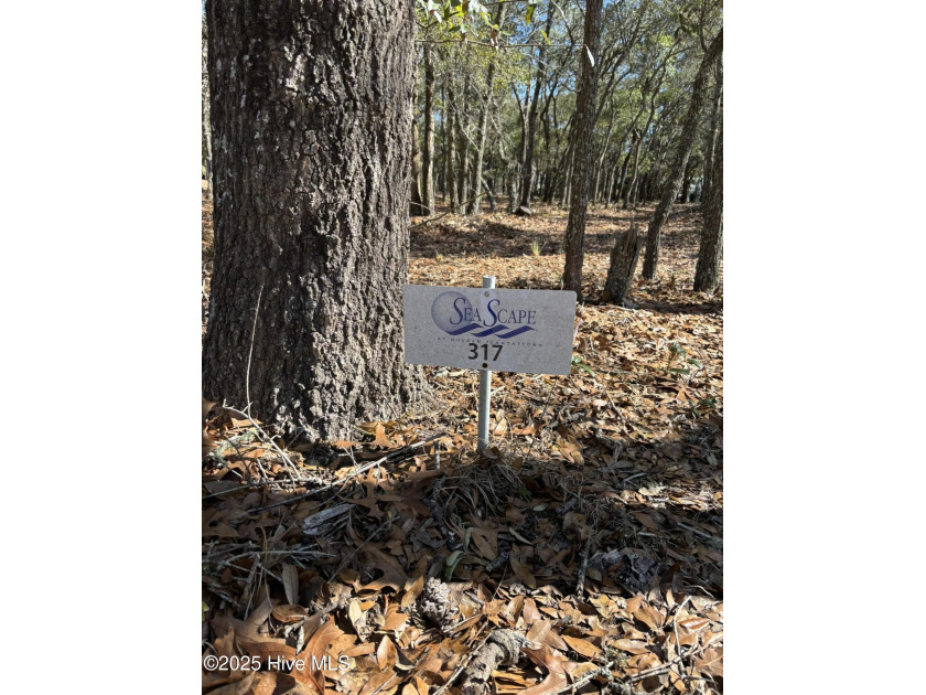 Beautiful wooded corner lot In Seascape Planation. The lot has - Beach Lot for sale in Supply, North Carolina on Beachhouse.com