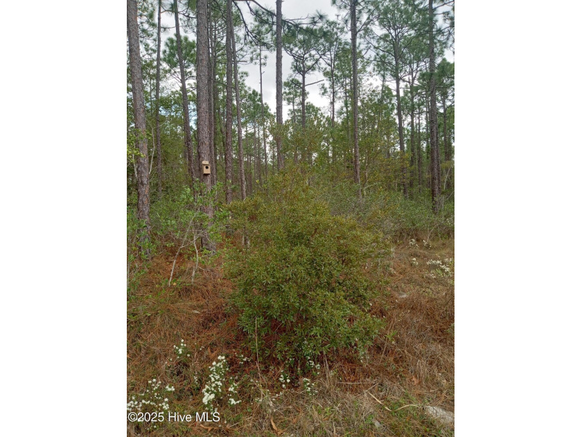 Nice lot across from the lake. Please consult the City of - Beach Lot for sale in Southport, North Carolina on Beachhouse.com
