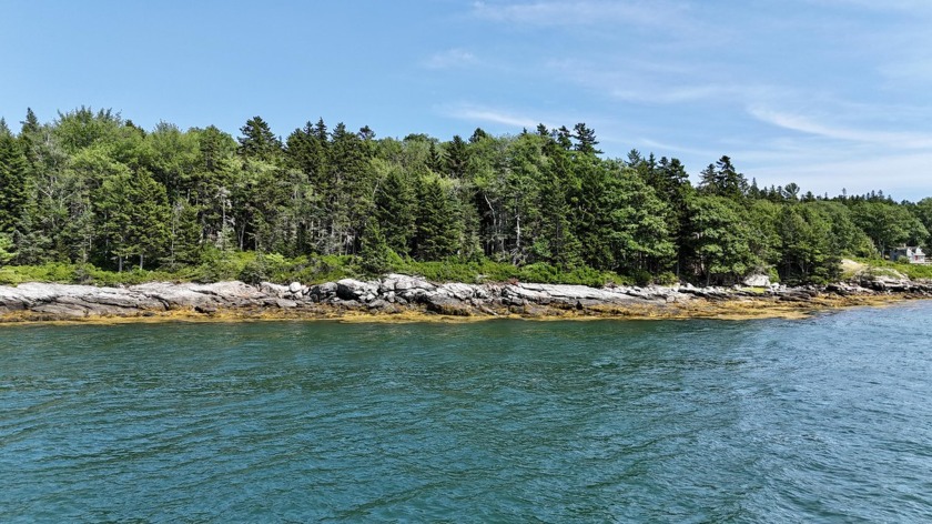 Discover your private oasis with this stunning 33-acre property - Beach Acreage for sale in Blue Hill, Maine on Beachhouse.com