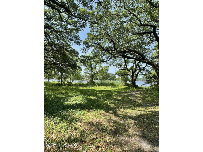 Beautiful water front lot on Halls Creek with a community boat - Beach Lot for sale in Swansboro, North Carolina on Beachhouse.com