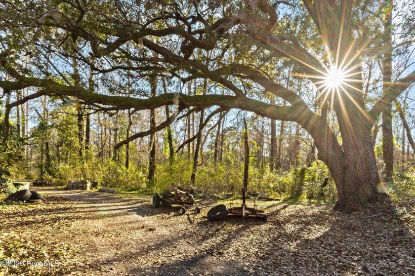 Situated within the city limits of Wilmington, this exceptional - Beach Lot for sale in Wilmington, North Carolina on Beachhouse.com