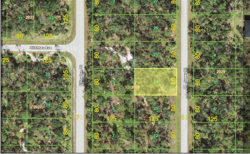 Perfect Dream Vacant Lot Now Available for you. If you are - Beach Lot for sale in Port Charlotte, Florida on Beachhouse.com