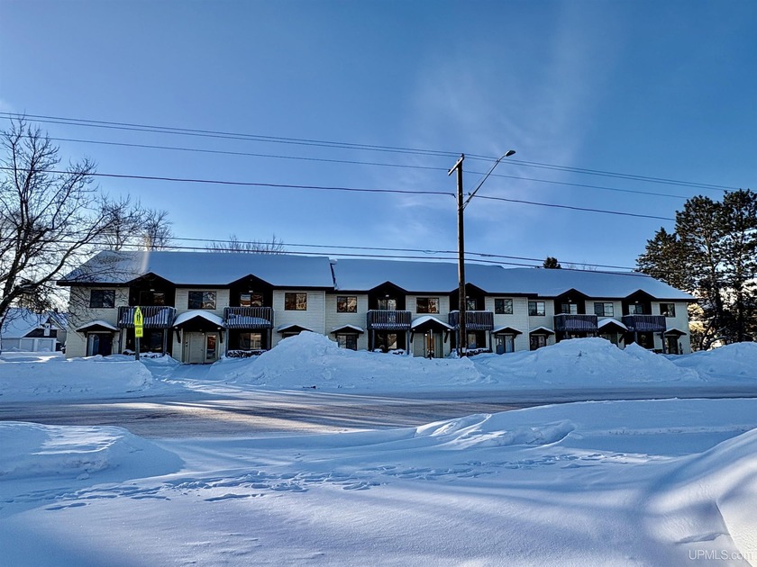 VERY nice 20 unit apartment complex located directly across from - Beach Apartment for sale in Ironwood, Michigan on Beachhouse.com