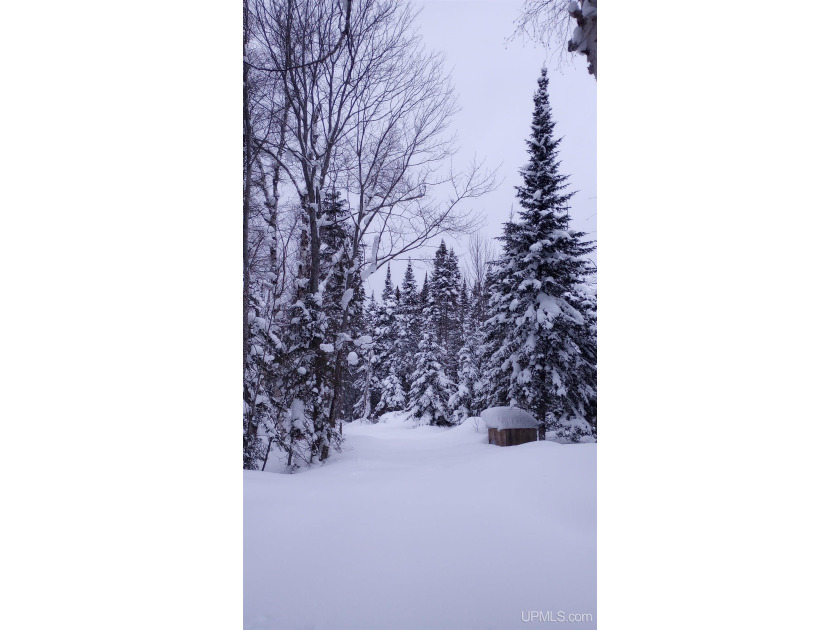 A river runs through it... on this wooded 15 + acre parcel with - Beach Acreage for sale in Grand Marais, Michigan on Beachhouse.com