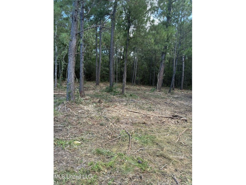 2 adjacent lots, lots 4 & 5 ( both lots are buildable lots) - Beach Lot for sale in Pass Christian, Mississippi on Beachhouse.com