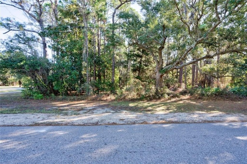 Wonderful Lot on the East Side of Dauphin Island just ready to - Beach Lot for sale in Mobile, Alabama on Beachhouse.com