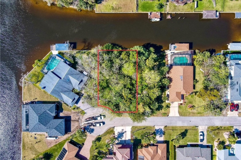 Welcome to your waterfront paradise! This stunning saltwater - Beach Lot for sale in Palm Coast, Florida on Beachhouse.com