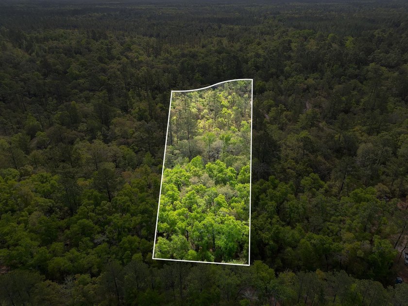 2.5 Acres Near the Sopchoppy River - Private, Wooded & Full of - Beach Acreage for sale in Sopchoppy, Florida on Beachhouse.com