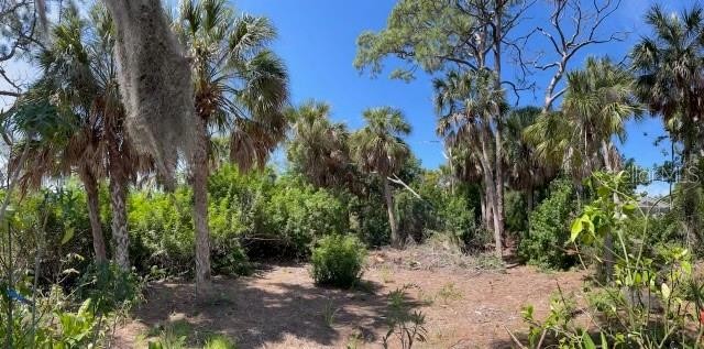 2.66 acres bordering Alligator Creek, West of US41, water is - Beach Acreage for sale in Venice, Florida on Beachhouse.com