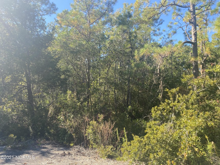 This wooded lot is a blank slate for someone to come in and - Beach Lot for sale in Hampstead, North Carolina on Beachhouse.com