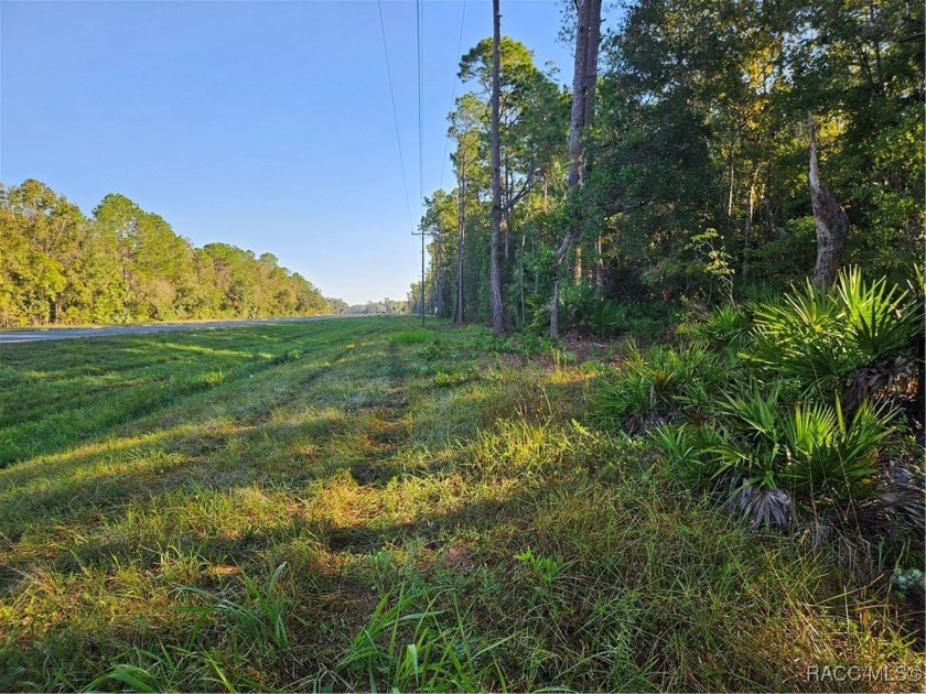 Nice wooded 1 acre lot AND THE CREEK RUNS THROUGH...  Direct - Beach Lot for sale in Inglis, Florida on Beachhouse.com
