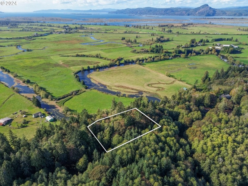 Here's your opportunity to own 2.15 acres with timber. Zoned AF - Beach Acreage for sale in Astoria, Oregon on Beachhouse.com