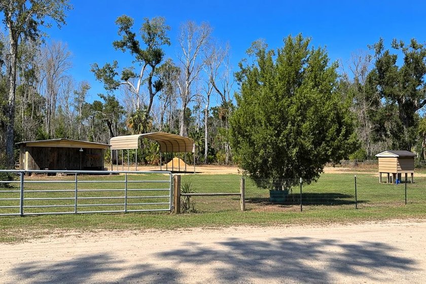 Great opportunity to own a .22-acre lot just minutes from the - Beach Lot for sale in Steinhatchee, Florida on Beachhouse.com