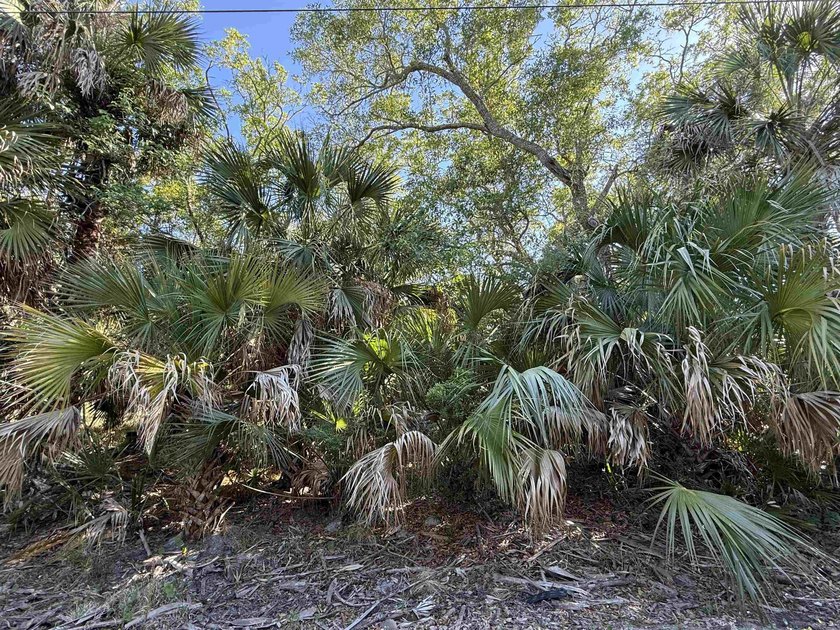 Experience the charm of true coastal living in the sought-after - Beach Lot for sale in Crawfordville, Florida on Beachhouse.com