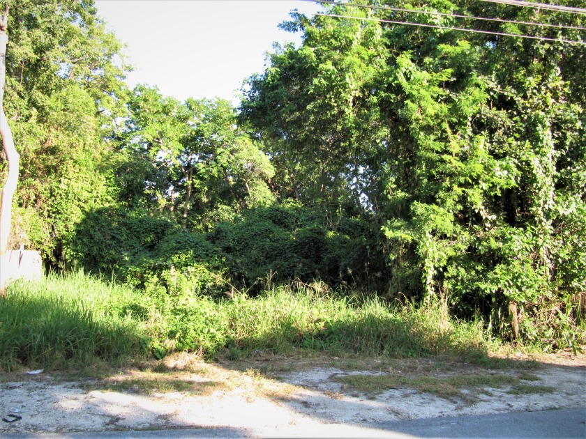 Double Lot in ideal location. Permit application to build a - Beach Lot for sale in Key Largo, Florida on Beachhouse.com
