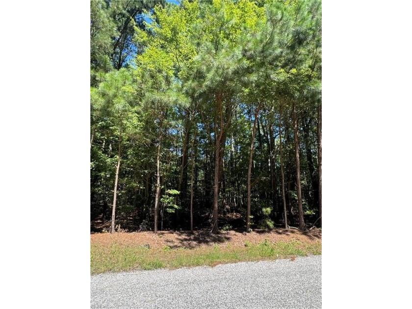 Enjoy breathtaking sunsets over the Chesapeake Bay from this - Beach Lot for sale in Jamesville, Virginia on Beachhouse.com