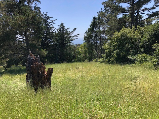 The lot sits very close to the top of the *Top Of The World* - Beach Lot for sale in Cambria, California on Beachhouse.com