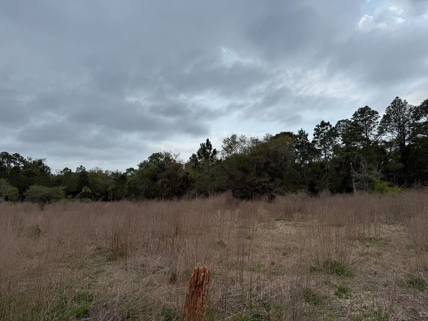 **Owner Financing Option** Step onto this 1.16-acre residential - Beach Lot for sale in Crystal River, Florida on Beachhouse.com