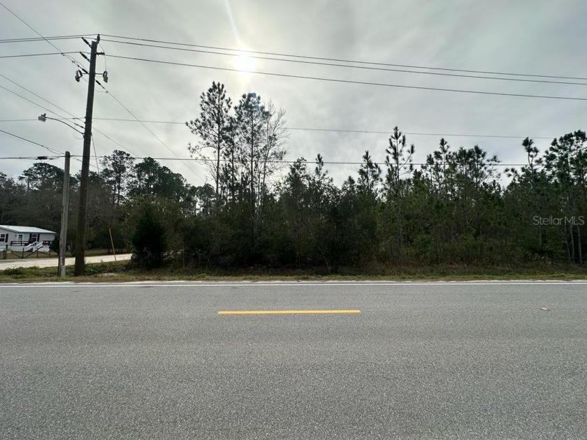 Prime Vacant Land on the Asphalt**Welcome to an extraordinary - Beach Lot for sale in Bunnell, Florida on Beachhouse.com