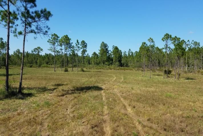 No HOA but still protected. 25 Acres of Mother Nature! If you a - Beach Acreage for sale in New Smyrna Beach, Florida on Beachhouse.com