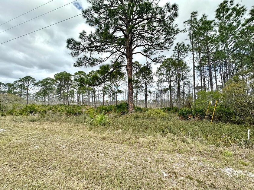 Check out Cedar Key's newest community--THE CEDAR KEY - Beach Lot for sale in Cedar Key, Florida on Beachhouse.com