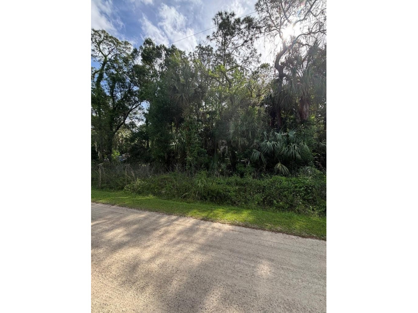 Step onto this 1-acre wooded lot located in the Cason's Inglis - Beach Lot for sale in Inglis, Florida on Beachhouse.com