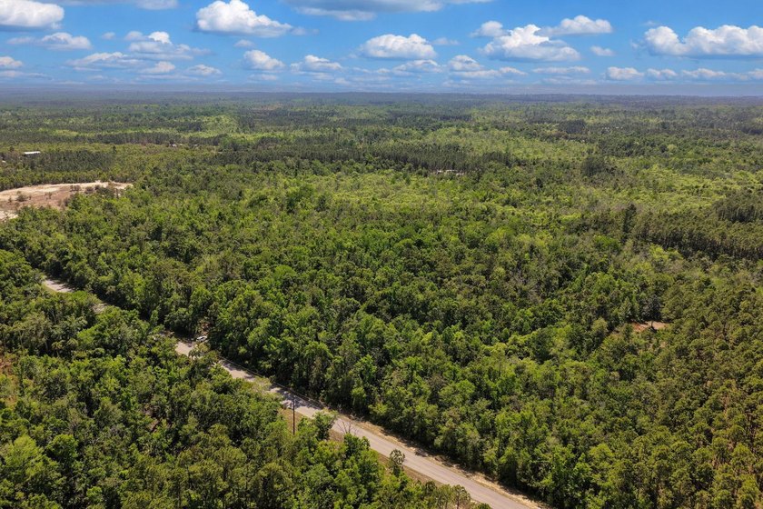Discover the perfect blend of privacy, recreation, and coastal - Beach Acreage for sale in Steinhatchee, Florida on Beachhouse.com