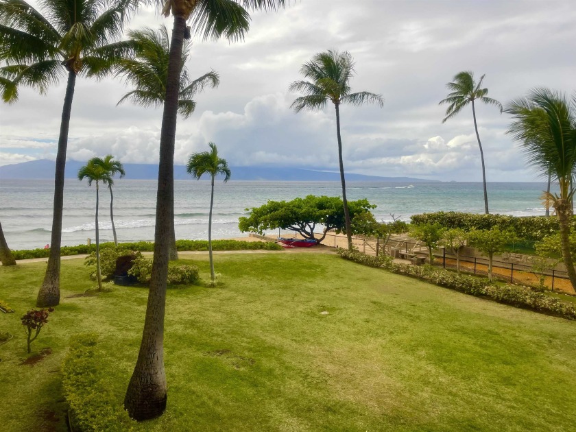 Kaanapali Shores 204. We are pleased to present to you a - Beach Condo for sale in Lahaina, Hawaii on Beachhouse.com