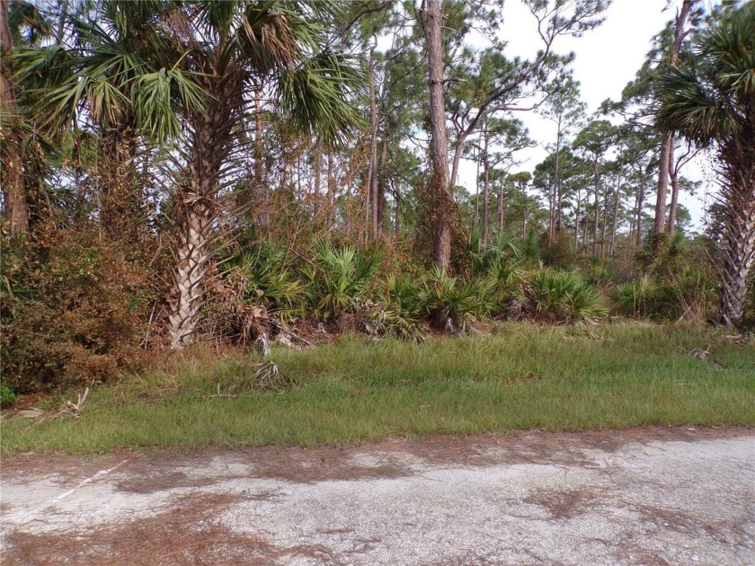 This Double lot is just over one third of an acre in Tropical - Beach Lot for sale in Punta Gorda, Florida on Beachhouse.com