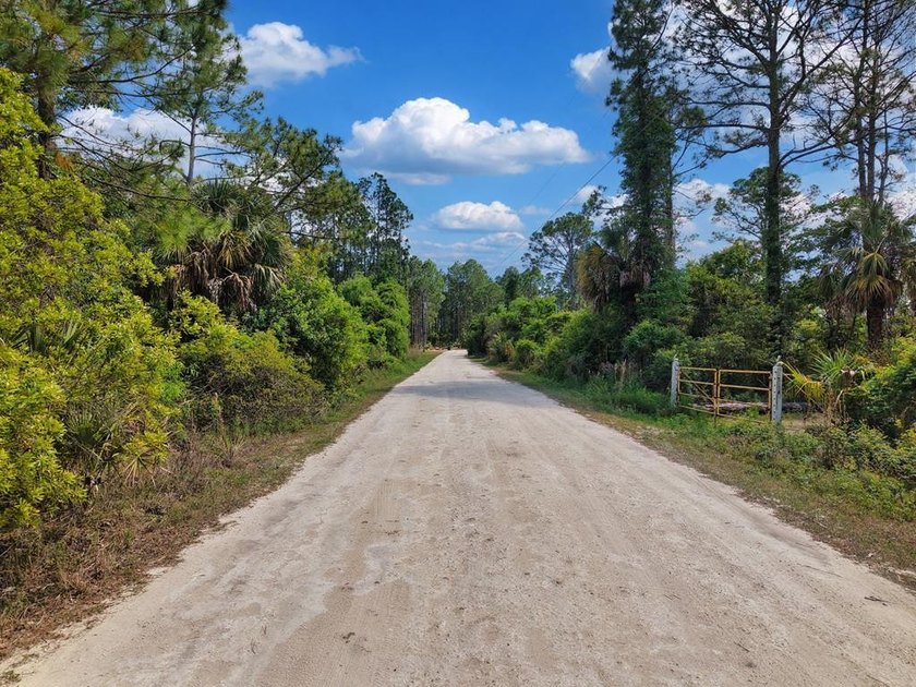 Tucked away in the quiet countryside just minutes from the Gulf - Beach Lot for sale in Cedar Key, Florida on Beachhouse.com
