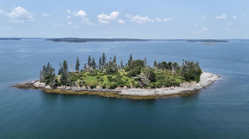 Discover the rare opportunity to own a majority share of Eagle - Beach Acreage for sale in Addison, Maine on Beachhouse.com