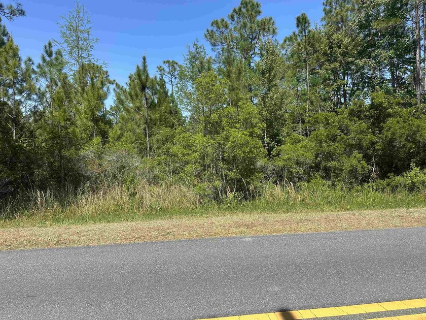 Build your dream home on a beautifully quiet riverfront lot - Beach Lot for sale in Carabelle, Florida on Beachhouse.com