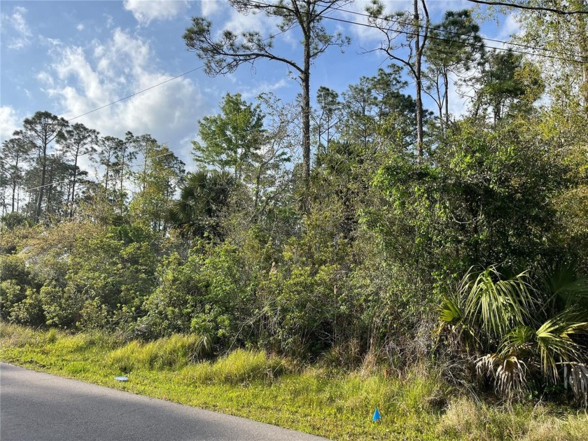 Fresh Water Canal Building Lot in Lehigh Woods area of Palm - Beach Lot for sale in Palm Coast, Florida on Beachhouse.com