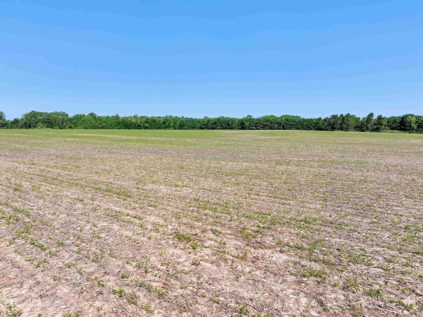 Nearly 40 acres of agricultural field farmed for many years and - Beach Acreage for sale in Little Suamico, Wisconsin on Beachhouse.com