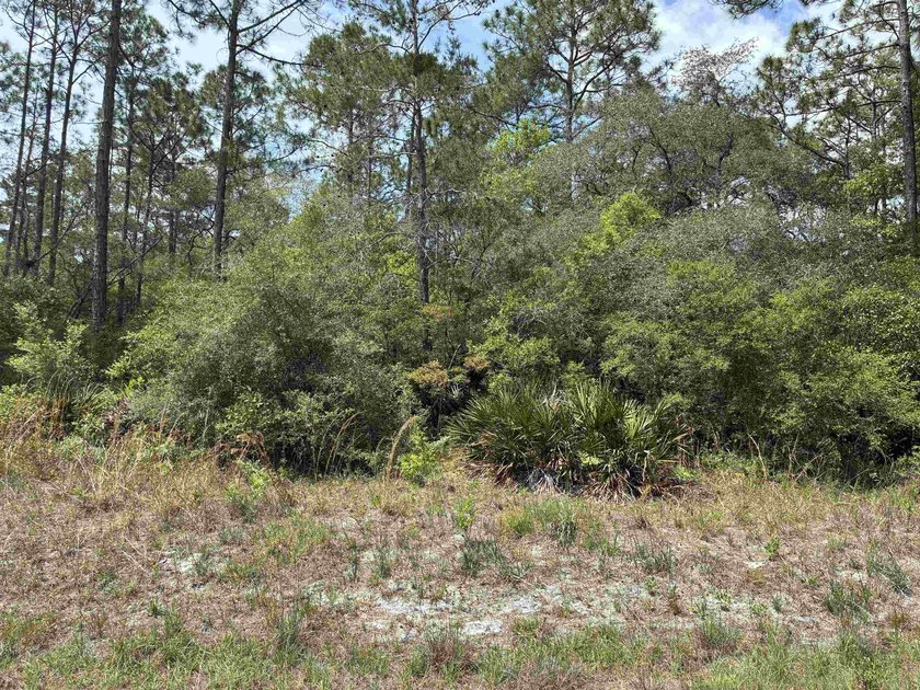 Discover the perfect slice of coastal Florida living with this - Beach Lot for sale in Panacea, Florida on Beachhouse.com