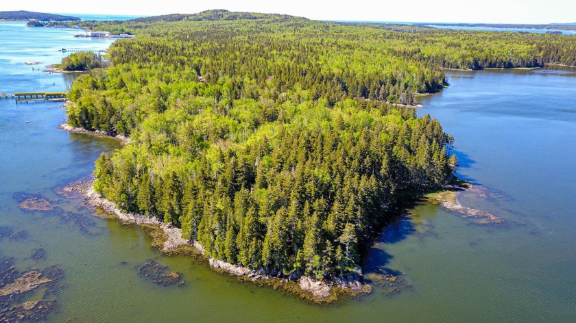 Experience the beauty of Maine's coast with this exceptional 3+ - Beach Acreage for sale in Steuben, Maine on Beachhouse.com