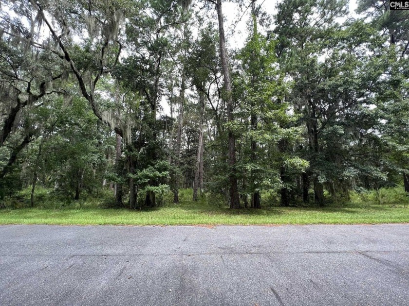 269 Oakridge Dr is THE MOST AFFORDABLE way to have your own - Beach Lot for sale in Daufuskie Island, South Carolina on Beachhouse.com